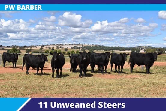 277722947 4854341924662670 8037568612346046427 n 1