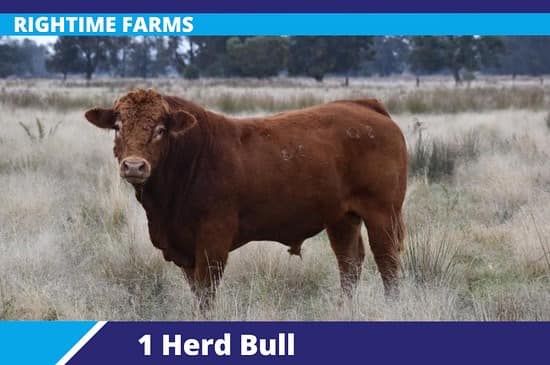 278929343 4909825345780994 4709506464151980517 n