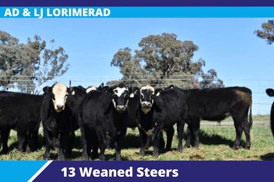 279572906 4947793688650826 2267299876373957871 n 1