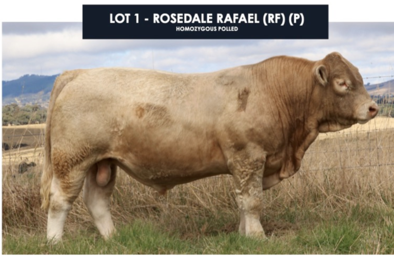 Screen Shot 2022 05 05 at 11.05.29 am 2 768x499