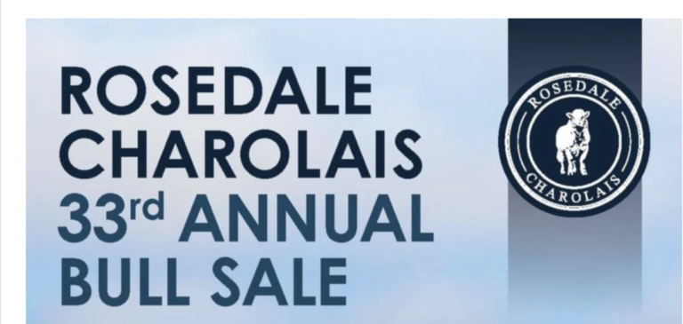 Screen Shot 2022 05 05 at 11.19.42 am 768x365