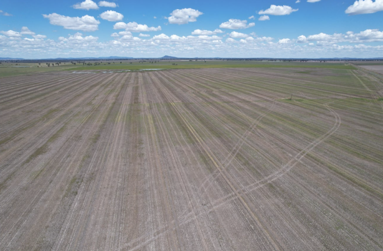 Screen Shot 2022 05 05 at 2.08.30 pm 768x504